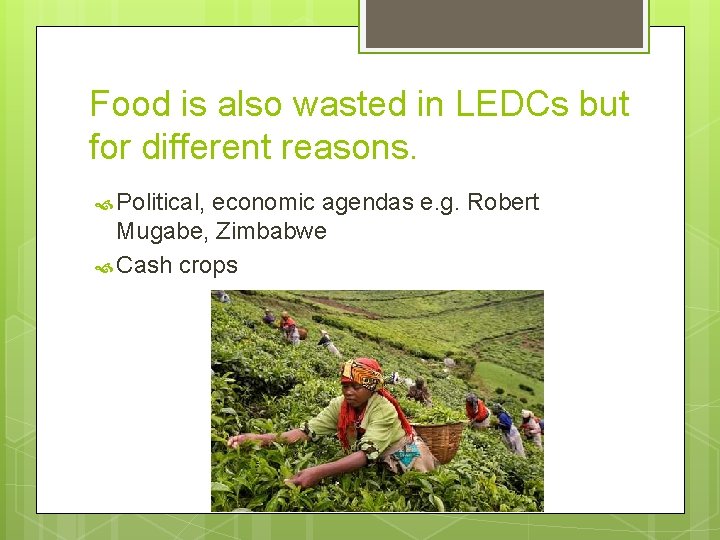 Food is also wasted in LEDCs but for different reasons. Political, economic agendas e.