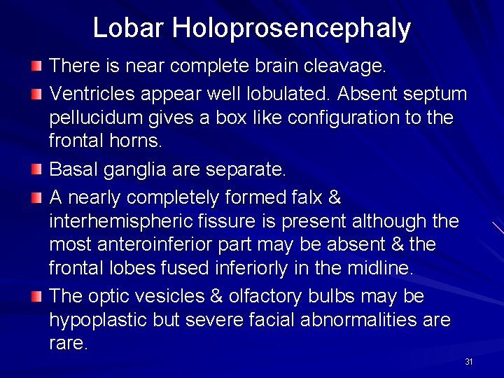 Lobar Holoprosencephaly There is near complete brain cleavage. Ventricles appear well lobulated. Absent septum