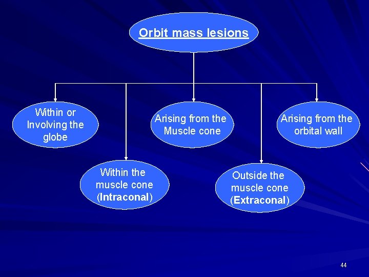 Orbit mass lesions Within or Involving the globe Arising from the Muscle cone Within