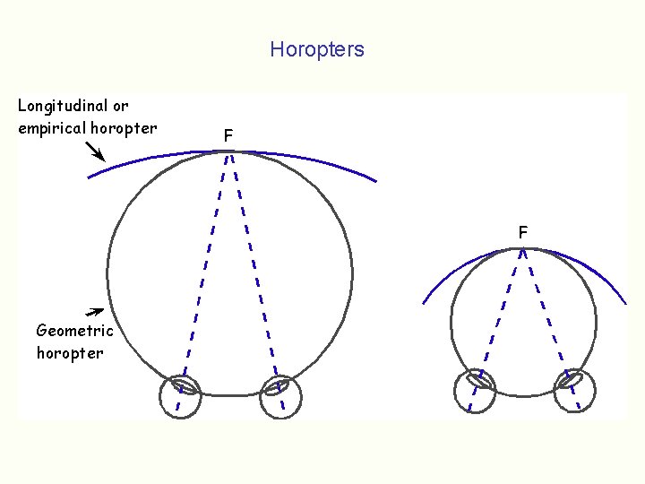 Horopters 