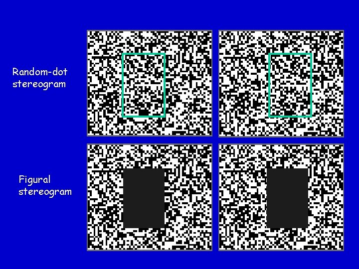 Random-dot stereogram Figural stereogram 