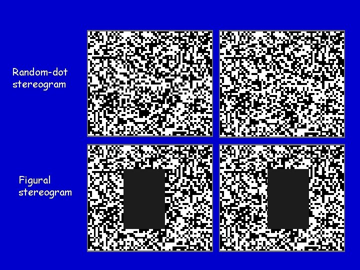 Random-dot stereogram Figural stereogram 