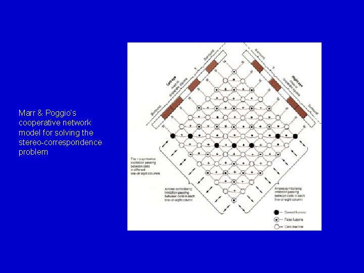 Marr & Poggio’s cooperative network model for solving the stereo-correspondence problem 