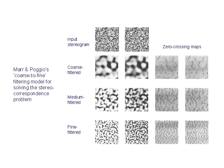 Input stereogram Marr & Poggio’s ‘coarse-to-fine’ filtering model for solving the stereocorrespondence problem Coarsefiltered