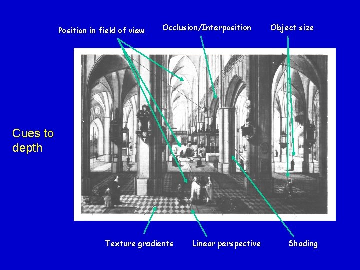 Position in field of view Occlusion/Interposition Object size Cues to depth Texture gradients Linear