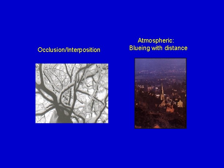 Occlusion/Interposition Atmospheric: Blueing with distance 