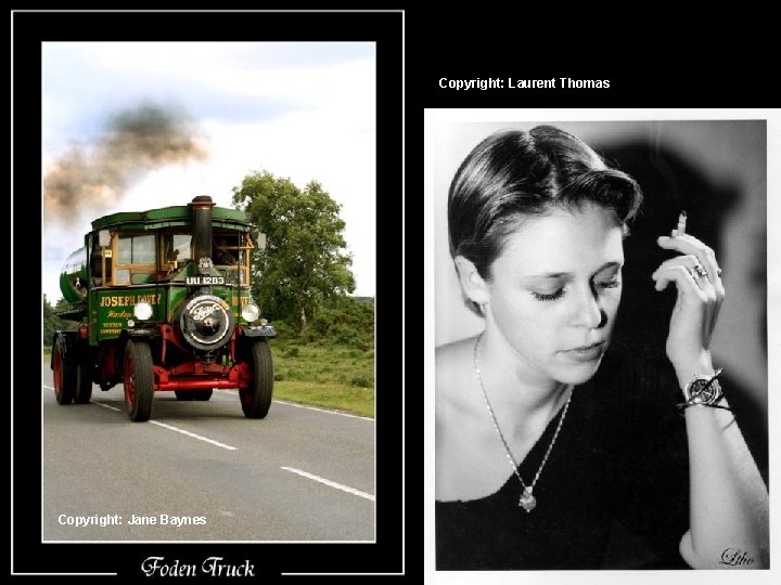 Copyright: Laurent Thomas Copyright: Jane Baynes 