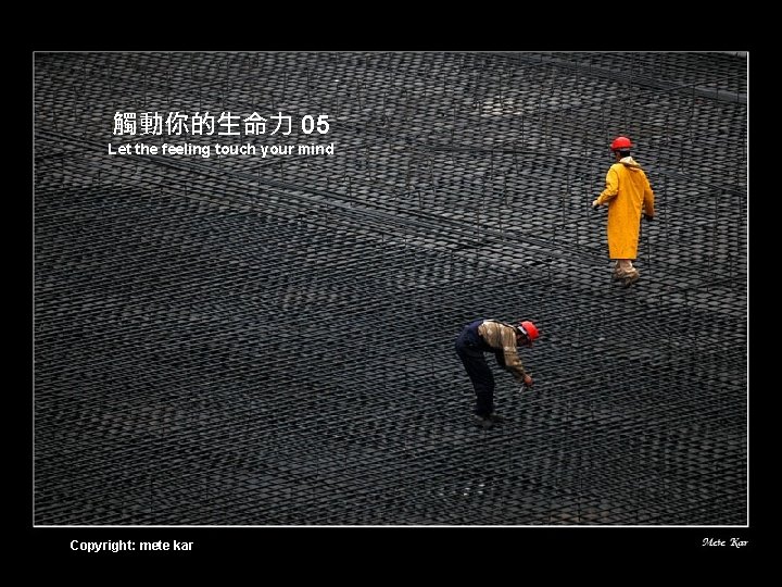 觸動你的生命力 05 Let the feeling touch your mind Copyright: mete kar 