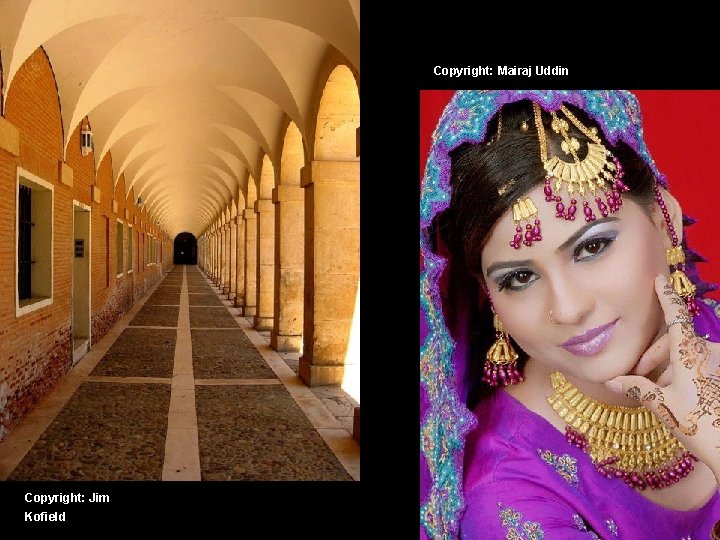 Copyright: Mairaj Uddin Copyright: Jim Kofield 