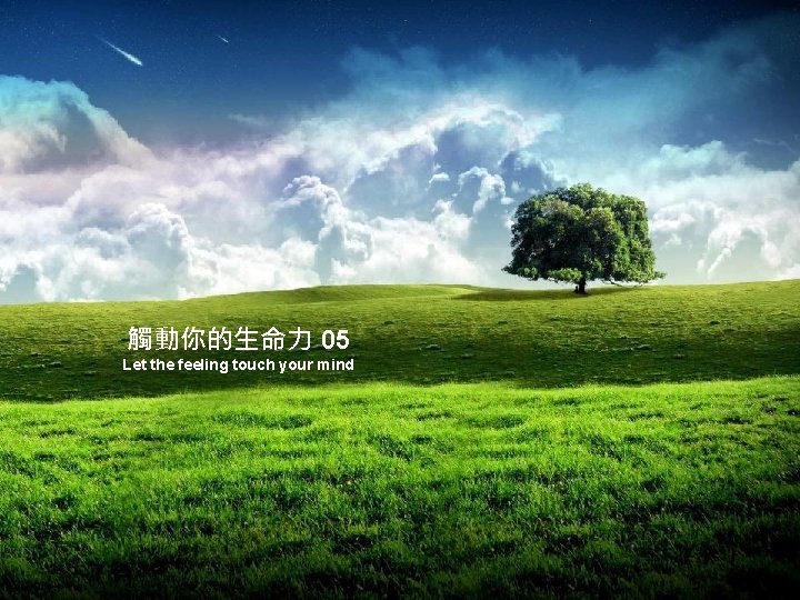 觸動你的生命力 05 Let the feeling touch your mind 