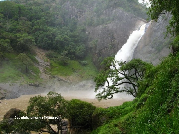 Copyright: priyanga Tkumarasiri 