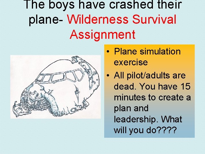 The boys have crashed their plane- Wilderness Survival Assignment • Plane simulation exercise •