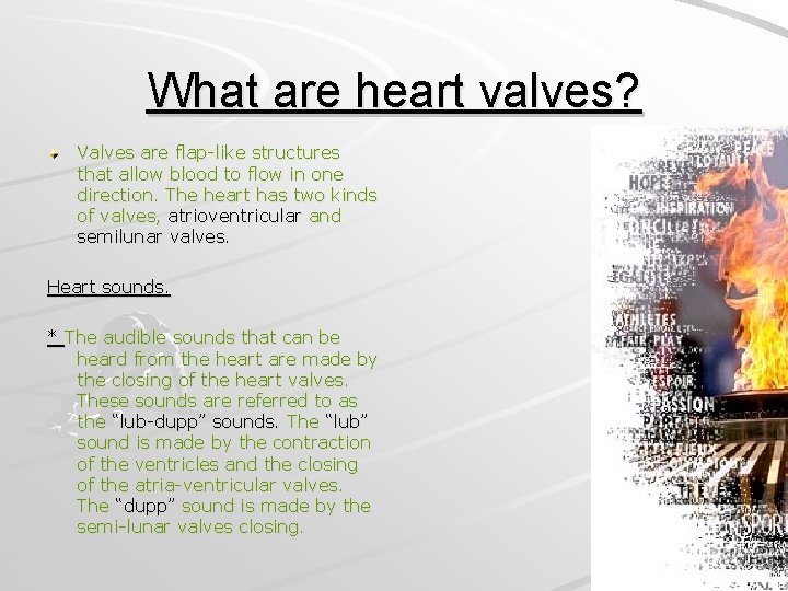 What are heart valves? Valves are flap-like structures that allow blood to flow in