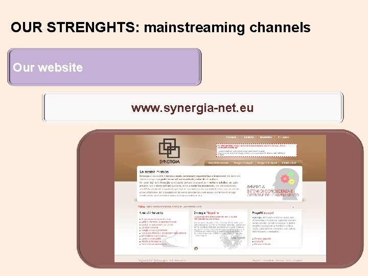 OUR STRENGHTS: mainstreaming channels Our website www. synergia-net. eu 