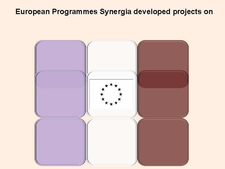 European Programmes Synergia developed projects on 