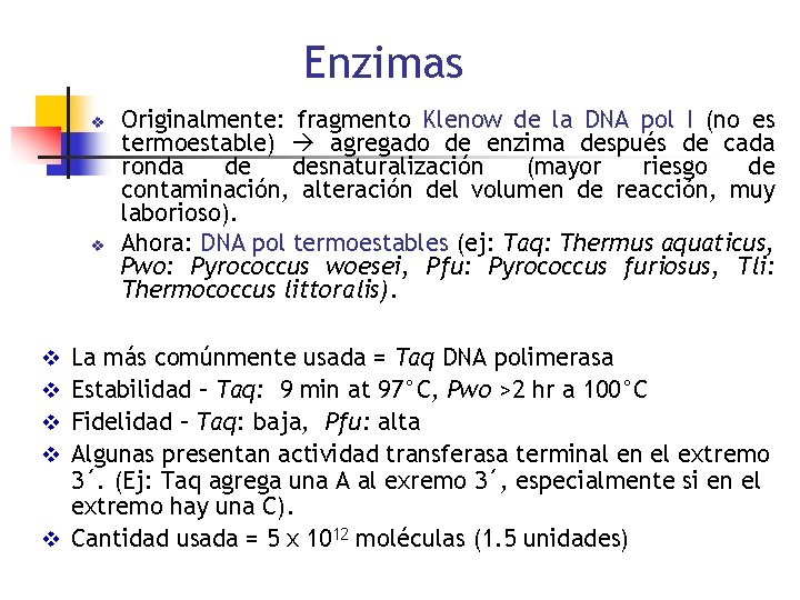 Enzimas v v Originalmente: fragmento Klenow de la DNA pol I (no es termoestable)