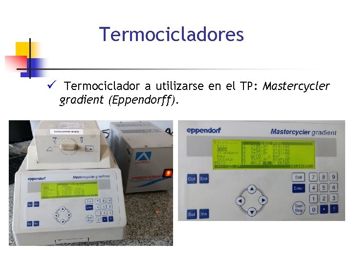 Termocicladores ü Termociclador a utilizarse en el TP: Mastercycler gradient (Eppendorff). 