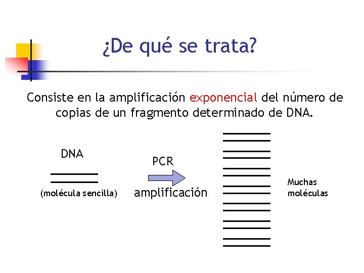 ¿De qué se trata? Consiste en la amplificación exponencial del número de copias de