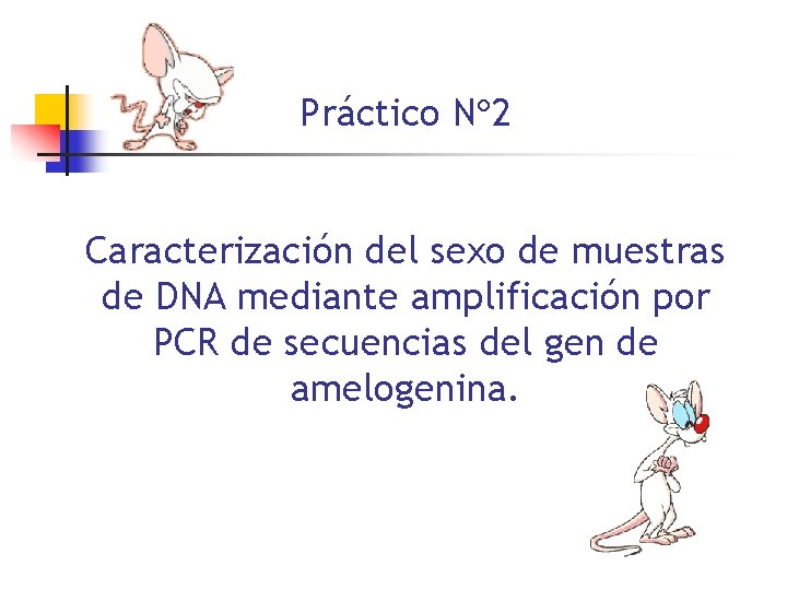 Práctico N 2 Caracterización del sexo de muestras de DNA mediante amplificación por PCR