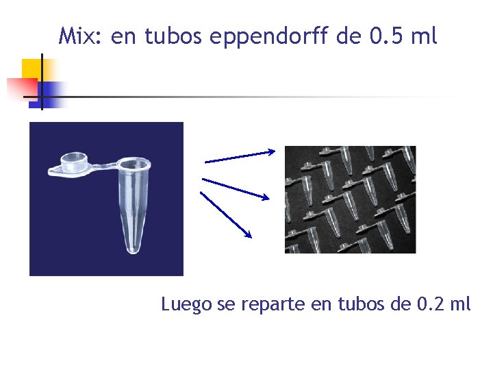 Mix: en tubos eppendorff de 0. 5 ml Luego se reparte en tubos de