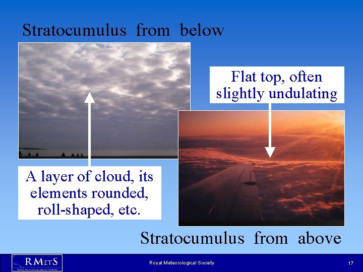 Stratocumulus from below Flat top, often slightly undulating A layer of cloud, its elements Stratocumulus from below Flat top, often slightly undulating A layer of cloud, its elements