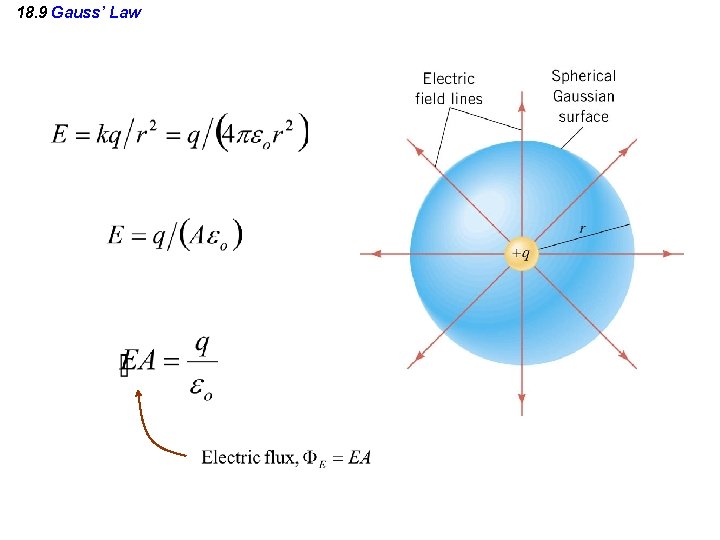 18. 9 Gauss’ Law 