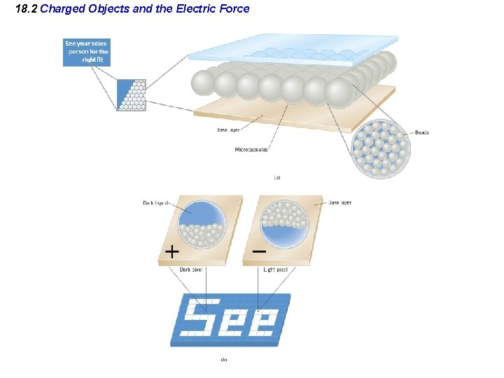 18. 2 Charged Objects and the Electric Force 