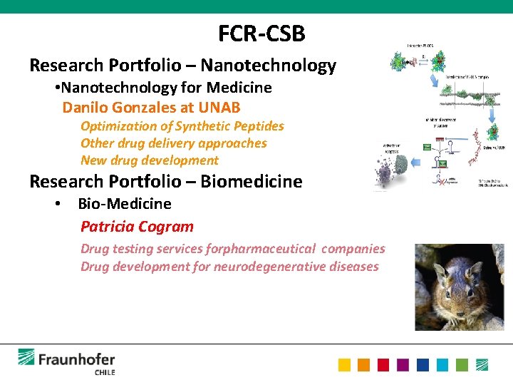 FCR-CSB Research Portfolio – Nanotechnology • Nanotechnology for Medicine Danilo Gonzales at UNAB Optimization