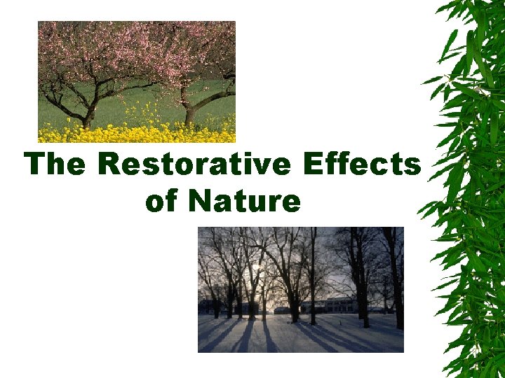 The Restorative Effects of Nature 