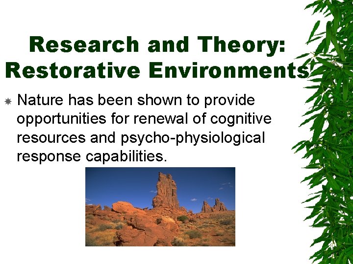 Research and Theory: Restorative Environments Nature has been shown to provide opportunities for renewal