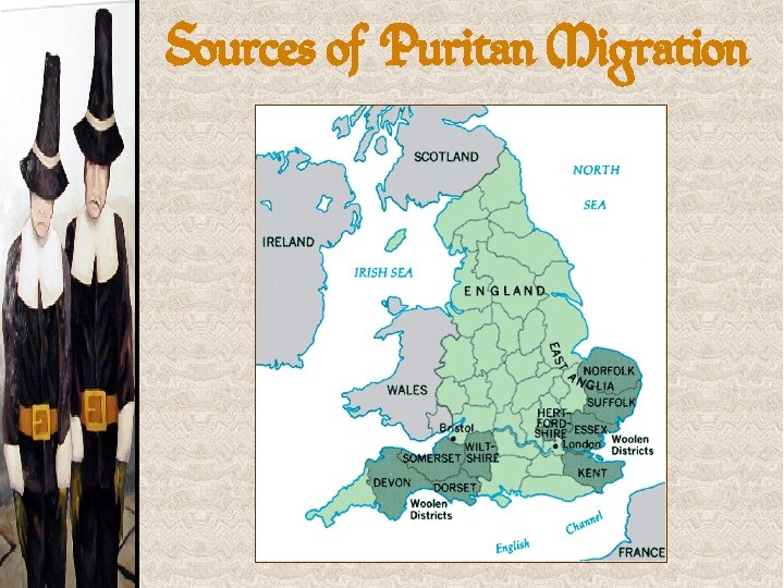 Sources of Puritan Migration 