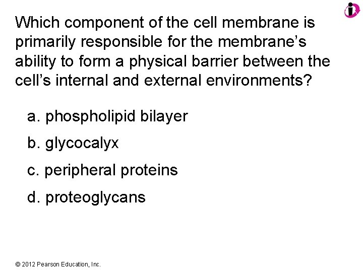Which component of the cell membrane is primarily responsible for the membrane’s ability to