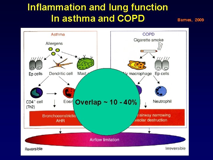 Inflammation and lung function In asthma and COPD Overlap ~ 10 - 40% Barnes,