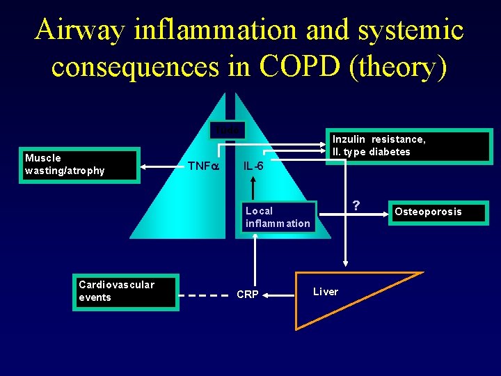 Airway inflammation and systemic consequences in COPD (theory) Tüdő Muscle wasting/atrophy TNFa Inzulin resistance,