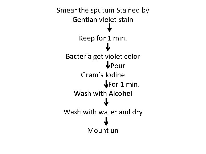 Smear the sputum Stained by Gentian violet stain Keep for 1 min. Bacteria get