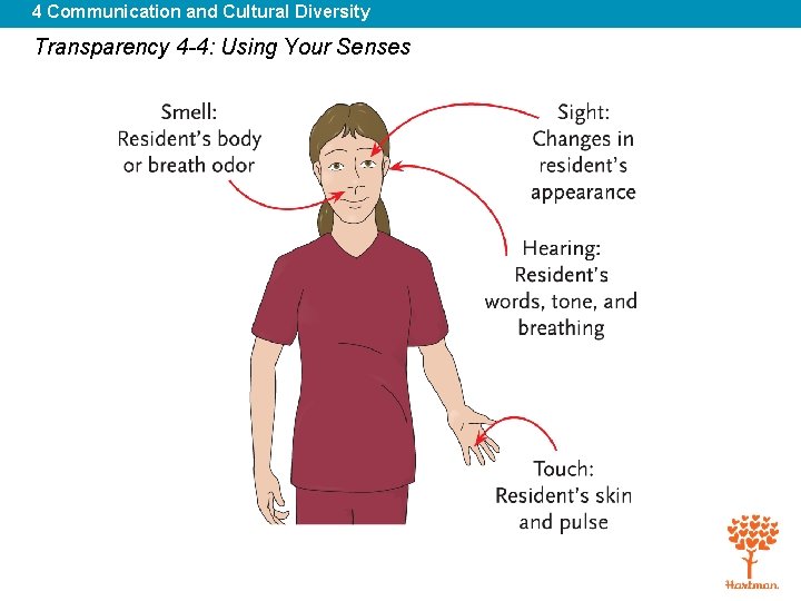 4 Communication and Cultural Diversity Transparency 4 -4: Using Your Senses 