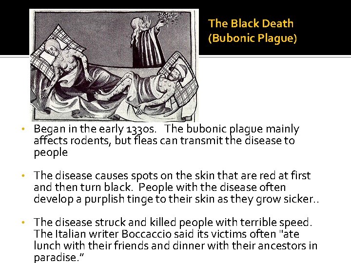 The Black Death (Bubonic Plague) • Began in the early 1330 s. The bubonic