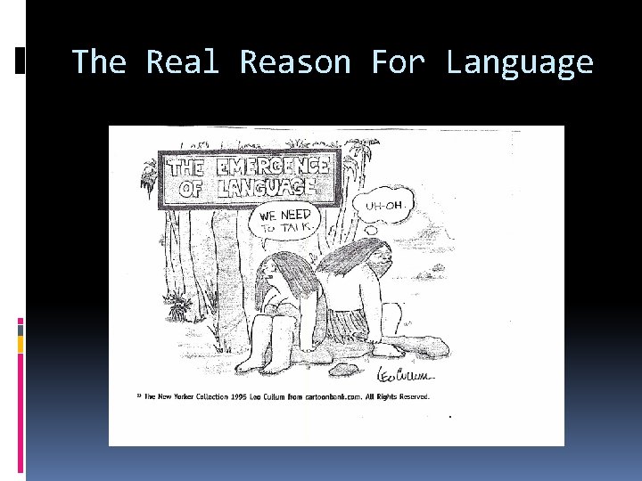 The Real Reason For Language 