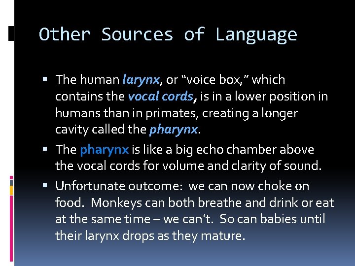 Other Sources of Language The human larynx, or “voice box, ” which contains the