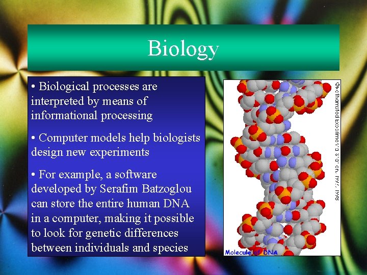 Biology • Biological processes are interpreted by means of informational processing • Computer models