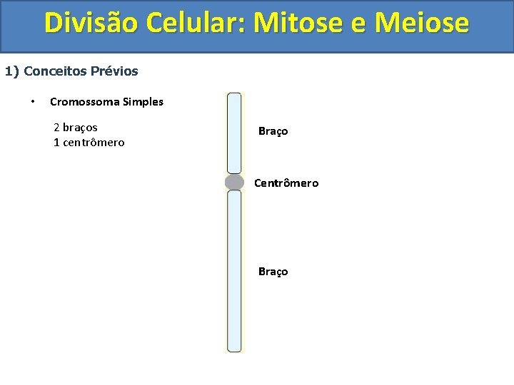 Divisão Celular: Mitose e Meiose 1) Conceitos Prévios • Cromossoma Simples 2 braços 1