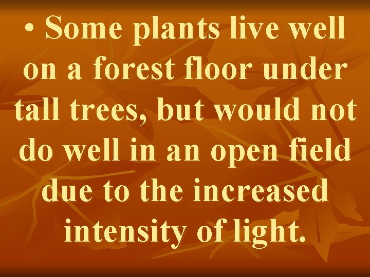  • Some plants live well on a forest floor under tall trees, but