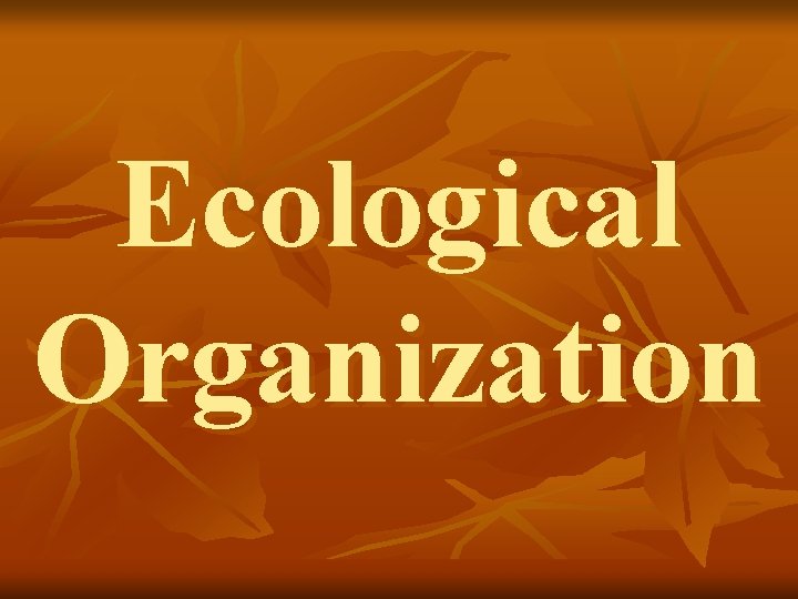 Ecological Organization 