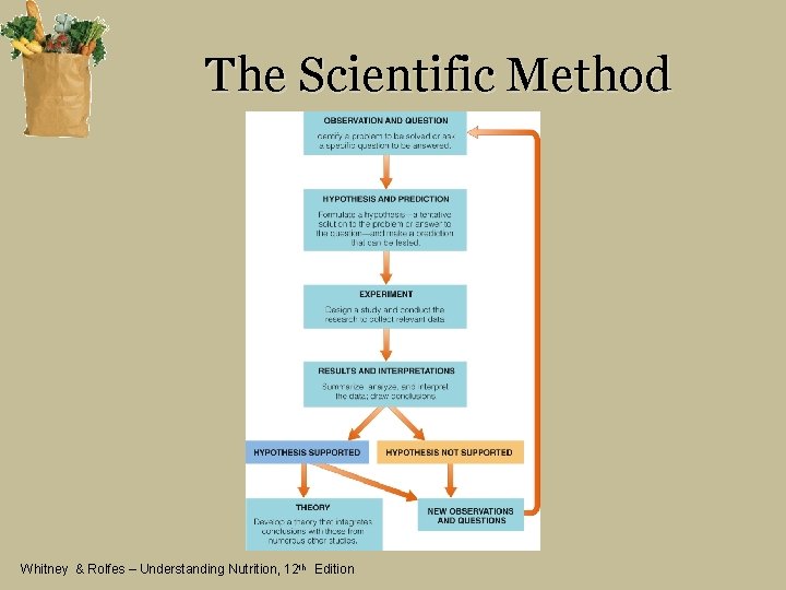 The Scientific Method Whitney & Rolfes – Understanding Nutrition, 12 th Edition 