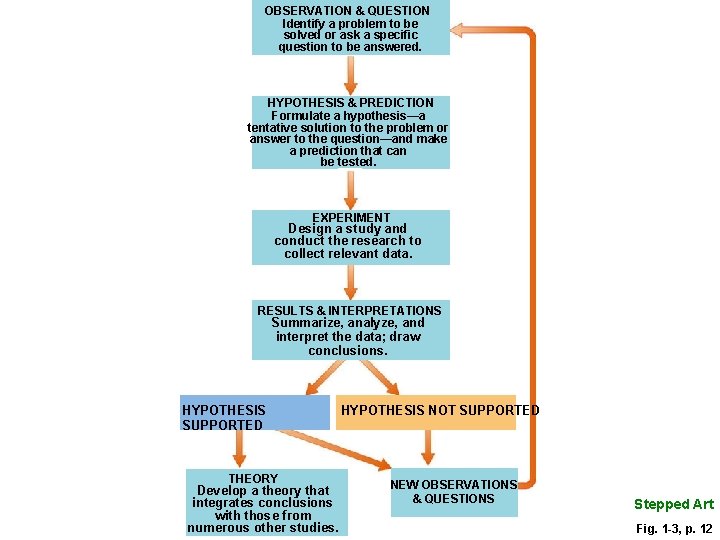 OBSERVATION & QUESTION Identify a problem to be solved or ask a specific question