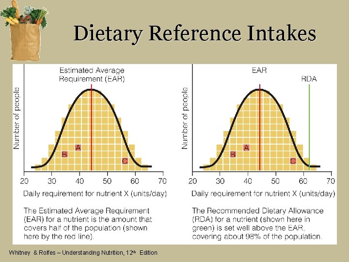 Dietary Reference Intakes Whitney & Rolfes – Understanding Nutrition, 12 th Edition 