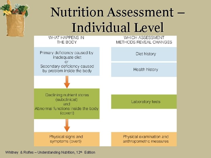 Nutrition Assessment – Individual Level Whitney & Rolfes – Understanding Nutrition, 12 th Edition