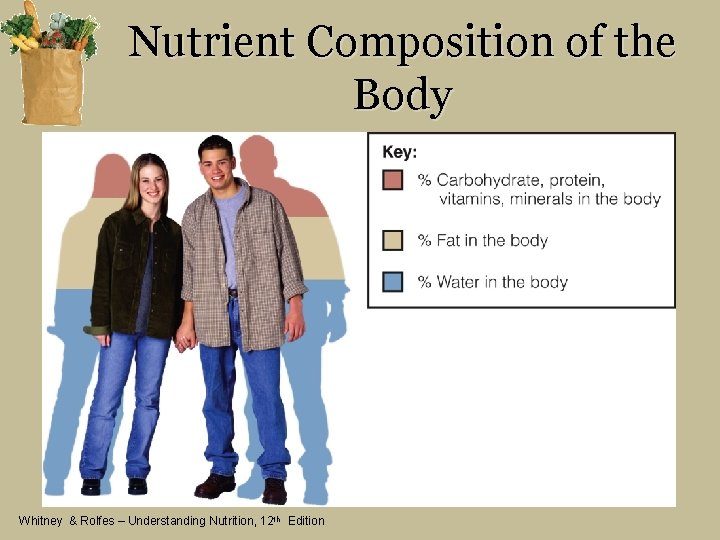 Nutrient Composition of the Body Whitney & Rolfes – Understanding Nutrition, 12 th Edition