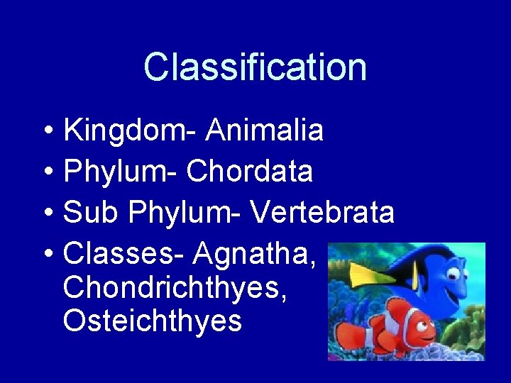 Classification • Kingdom- Animalia • Phylum- Chordata • Sub Phylum- Vertebrata • Classes- Agnatha,