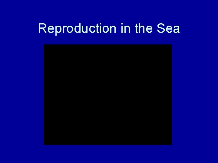 Reproduction in the Sea 